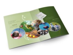 Green Woods Brochure Pages