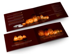Himalaya Lights Brochure Pages Design